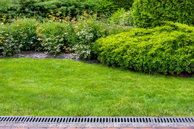 Yard Drainage Installation in Tuscaloosa, AL
